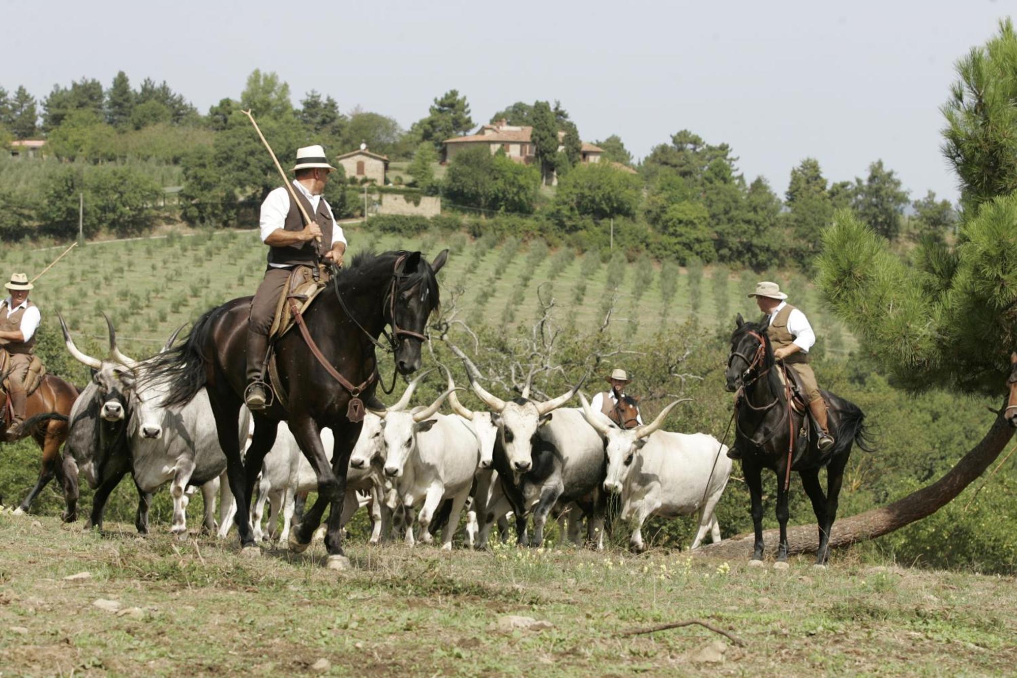 Agriturismo La Forra Cavriglia Eksteriør bilde