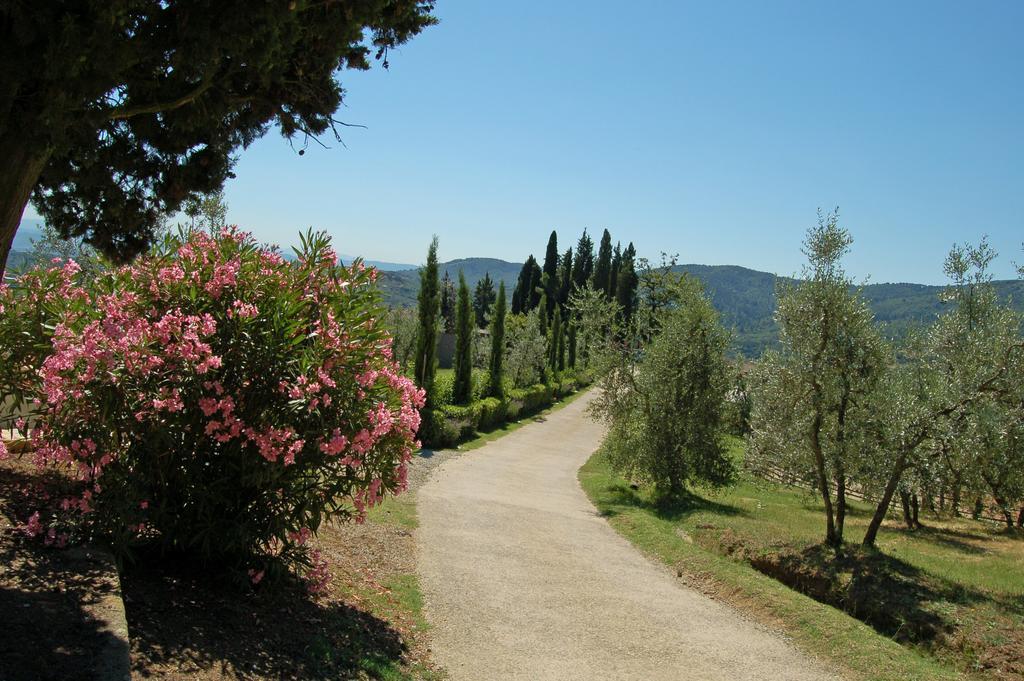 Agriturismo La Forra Cavriglia Eksteriør bilde